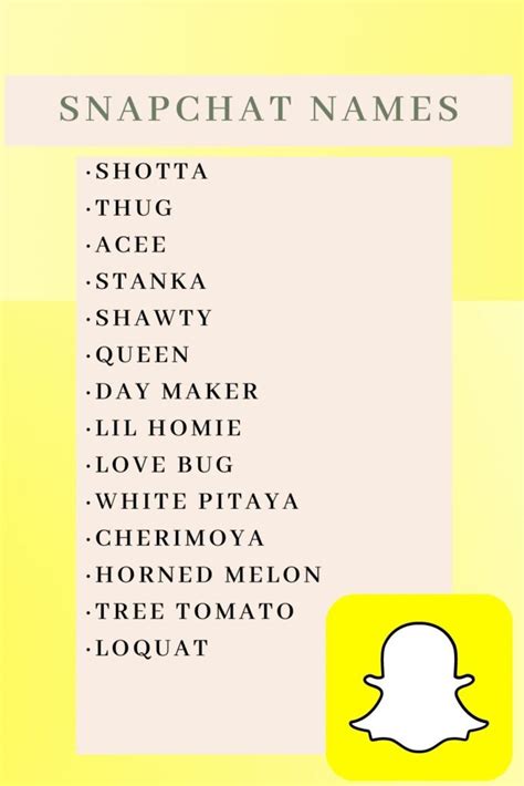 snapchat namen|300+ Great Snapchat Username Ideas